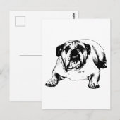 Groeten van de grijns briefkaart (Voorkant / Achterkant)