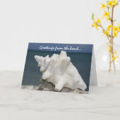 Groeten van de Kroonslak Shell van het Strand Kaart (Gele Bloem)