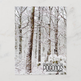 Groeten van de Poconos!Snowy Pocono Woodlands Briefkaart