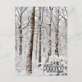 Groeten van de Poconos!Snowy Pocono Woodlands Briefkaart