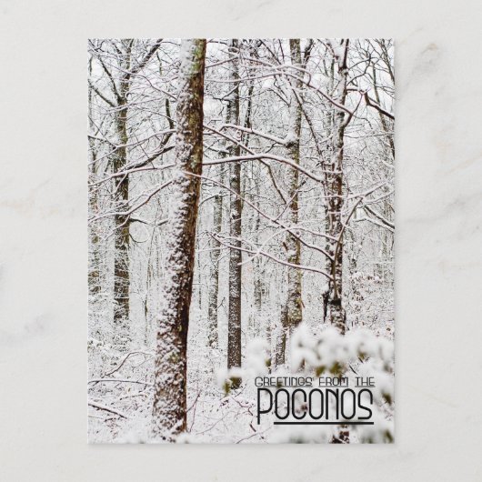 Groeten van de Poconos!Snowy Pocono Woodlands Briefkaart (Voorkant)
