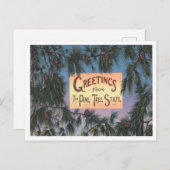 Groeten van de staat Pine Tree, Maine Travel Briefkaart (Voorkant / Achterkant)