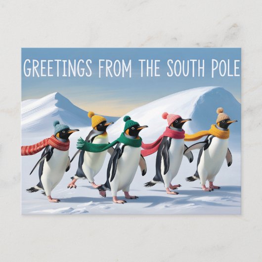 "Groeten van de Zuidpool" Pinguïnontwerp Briefkaart (Voorkant)