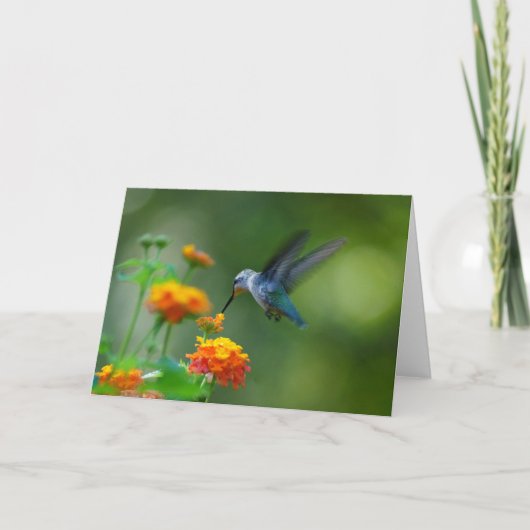 Groeten! Van een zomerHummer. Kaart (Voorkant)