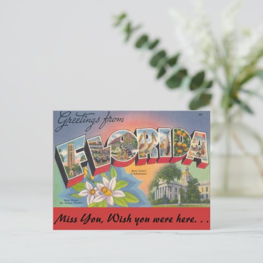 Groeten van FLORIDA Briefkaart (Staand voorkant)