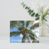 Groeten van FLorida/kokospalm Briefkaart (Staand voorkant)
