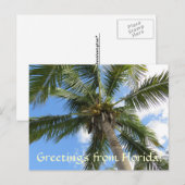 Groeten van FLorida/kokospalm Briefkaart (Voorkant / Achterkant)