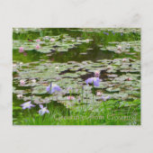 Groeten van Giverny. Briefkaart (Voorkant)