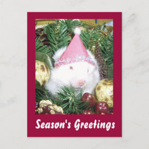 Groeten van Hamster Season Feestdagenkaart