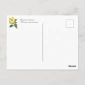  Groeten van Hawaii Yellow Hibiscus Briefkaart (Achterkant)