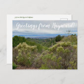 Groeten van Hayward. Briefkaart (Voorkant / Achterkant)