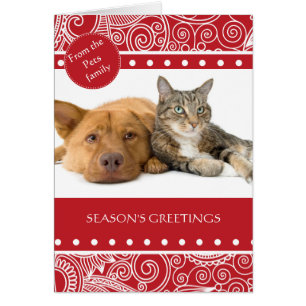 Groeten van het bloeiseizoen van het Oerwoud