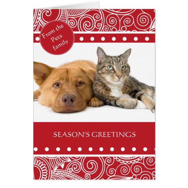 Groeten van het bloeiseizoen van het Oerwoud (Voorkant)