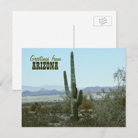 Groeten van het Briefkaart van de Reis van de Cact (Voorkant / Achterkant)