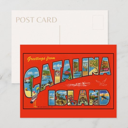 Groeten van het eiland Catalina 1955  Briefkaart (Voorkant / Achterkant)