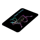 Groeten van het seizoen - Elektrisch Caraïbisch Magneet (Linkerzijde)