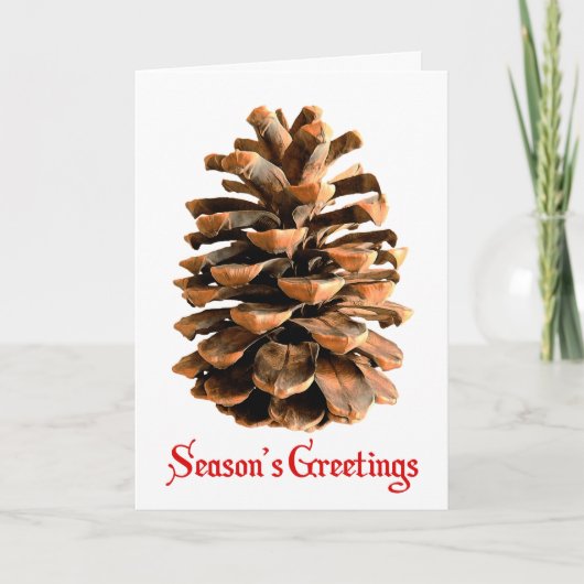 Groeten van het seizoen - Jerusalem Pine Cone Feestdagen Kaart (Voorkant)