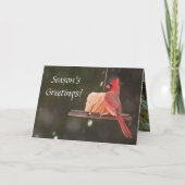 Groeten van het seizoen! Kerst Kaarten (Voorkant)