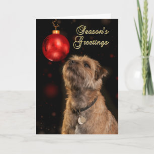 Groeten van het seizoen met Border Terrier Dog Feestdagen Kaart
