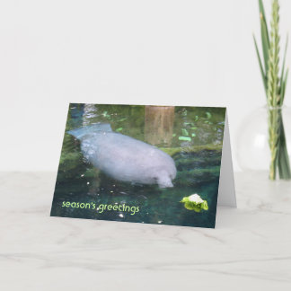 Groeten van het seizoen - sla feestdagen kaart