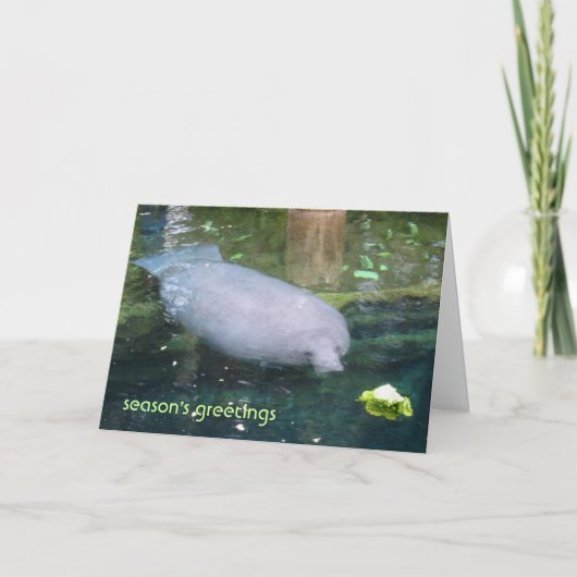 Groeten van het seizoen - sla feestdagen kaart (Voorkant)