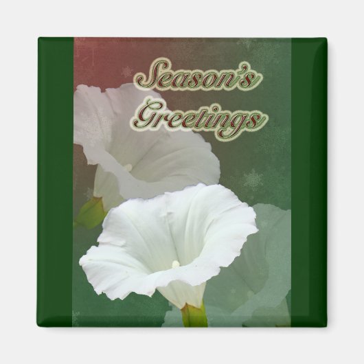 Groeten van het seizoen - Witte bindweed Magneet (Voorkant)