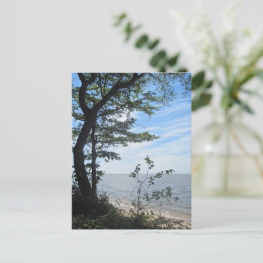 Groeten van het strand! briefkaart (Staand voorkant)