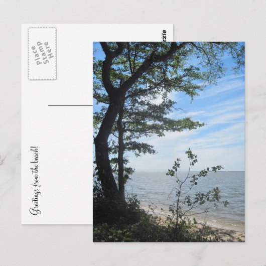 Groeten van het strand! briefkaart (Voorkant / Achterkant)