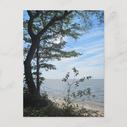 Groeten van het strand! briefkaart (Voorkant)