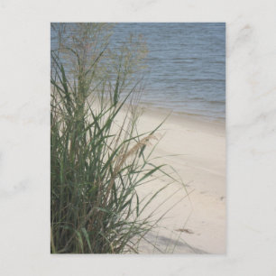 Groeten van het strand! briefkaart