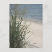 Groeten van het strand! briefkaart (Voorkant)