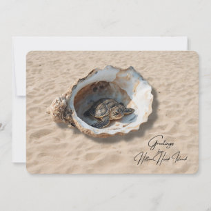 Groeten van Hilton Head Island Sea Turtle Kaart