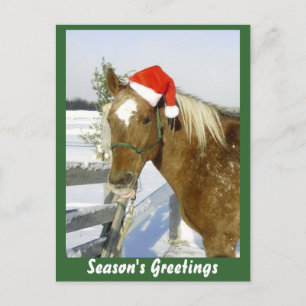 Groeten van Horse Season Feestdagenkaart