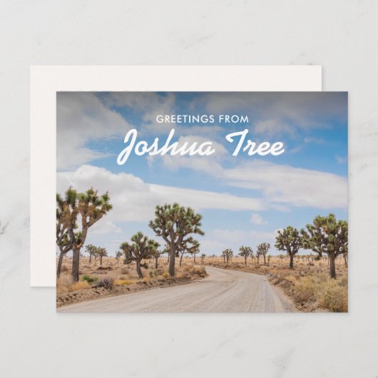 Groeten van Joshua Tree Briefkaart (Voorkant / Achterkant)