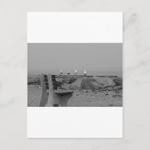 Groeten van Long Island, NY Briefkaart