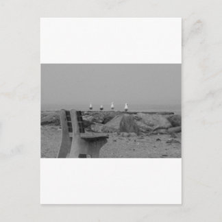 Groeten van Long Island, NY Briefkaart