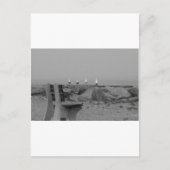 Groeten van Long Island, NY Briefkaart (Voorkant)