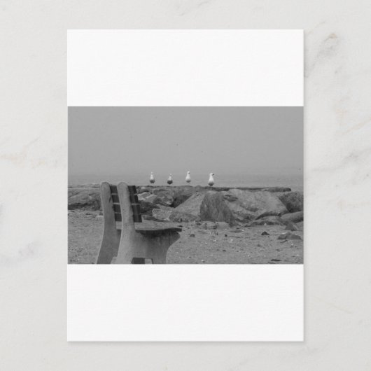 Groeten van Long Island, NY Briefkaart (Voorkant)