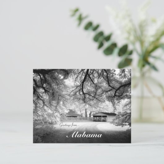Groeten van Monroeville Alabama USA Design Briefkaart (Staand voorkant)