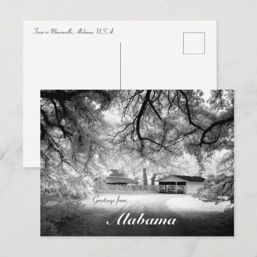 Groeten van Monroeville Alabama USA Design Briefkaart (Voorkant / Achterkant)