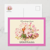 Groeten van Montana Bitterroot Briefkaart (Voorkant / Achterkant)