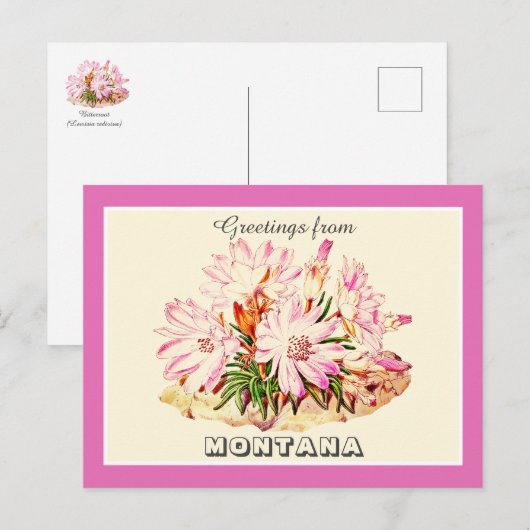  Groeten van Montana Bitterroot Briefkaart (Voorkant / Achterkant)