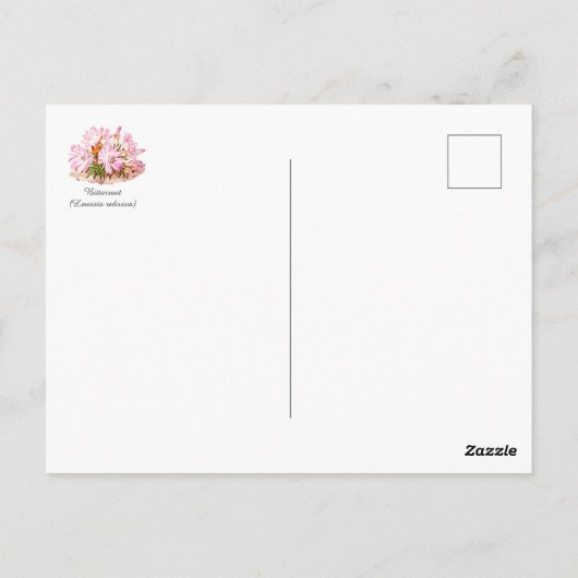 Groeten van Montana Bitterroot Briefkaart (Achterkant)