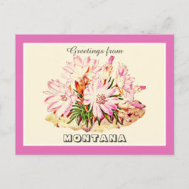  Groeten van Montana Bitterroot Briefkaart