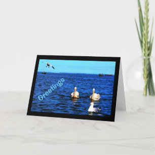 Groeten van Mooi Meer Winnebago Kaart