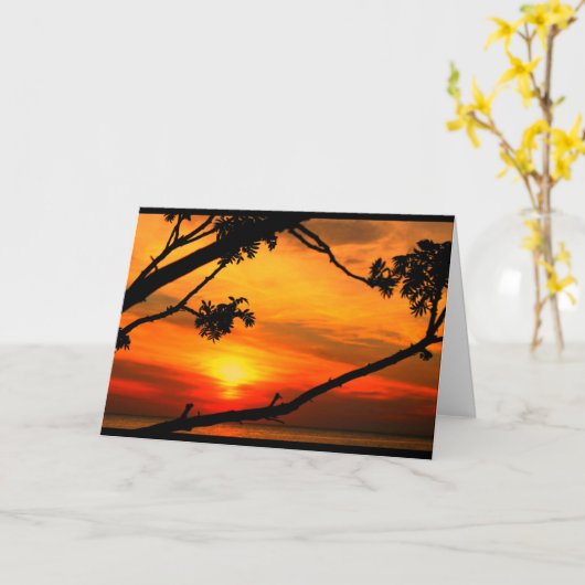 Groeten van Mooi Meer Winnie in Quinney! Kaart (Gele Bloem)