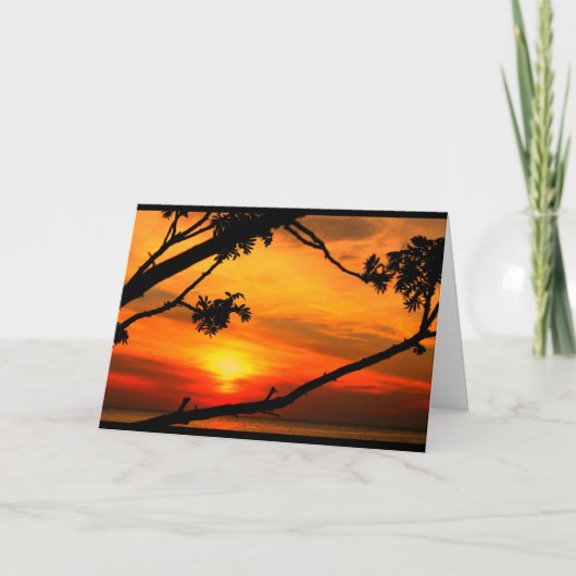 Groeten van Mooi Meer Winnie in Quinney! Kaart (Voorkant)