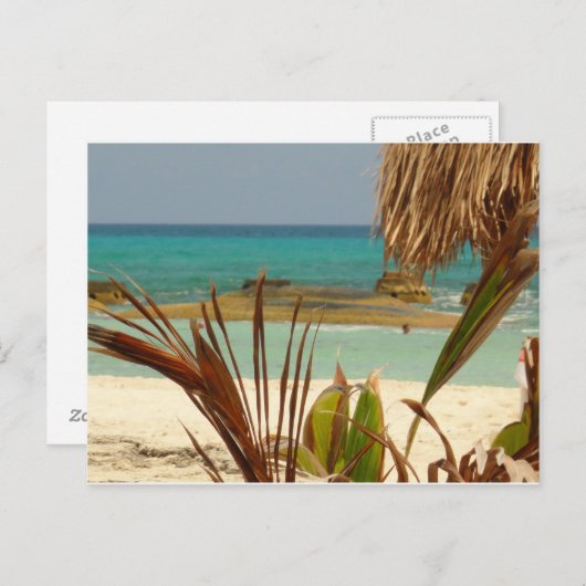 Groeten van Paradijs! Briefkaart (Voorkant / Achterkant)