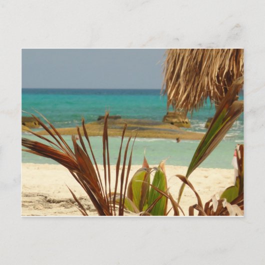 Groeten van Paradijs! Briefkaart (Voorkant)