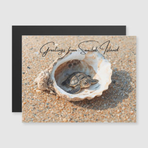 Groeten van Sanibel Island Sea Turtle in Shell